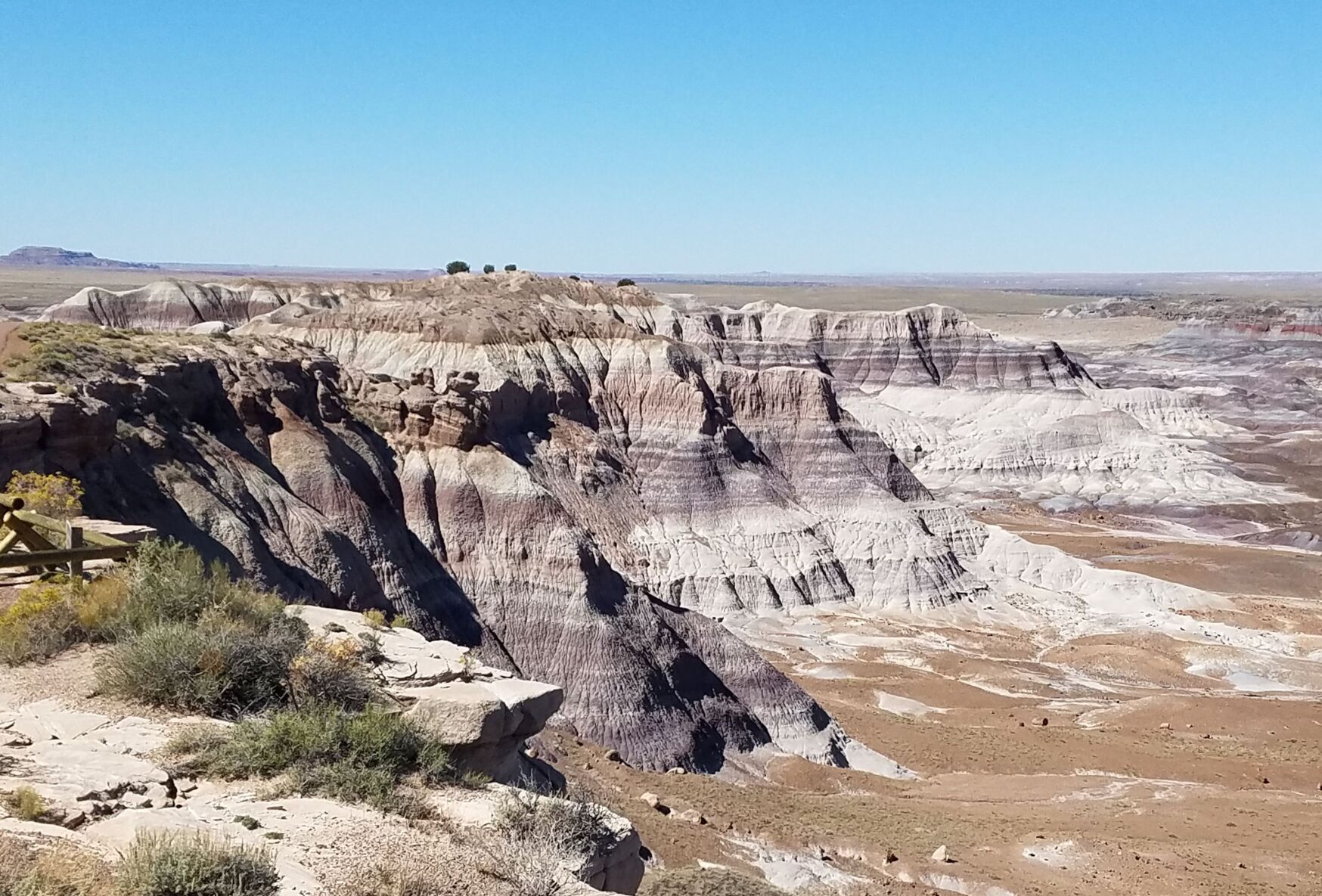 Geology Revealed